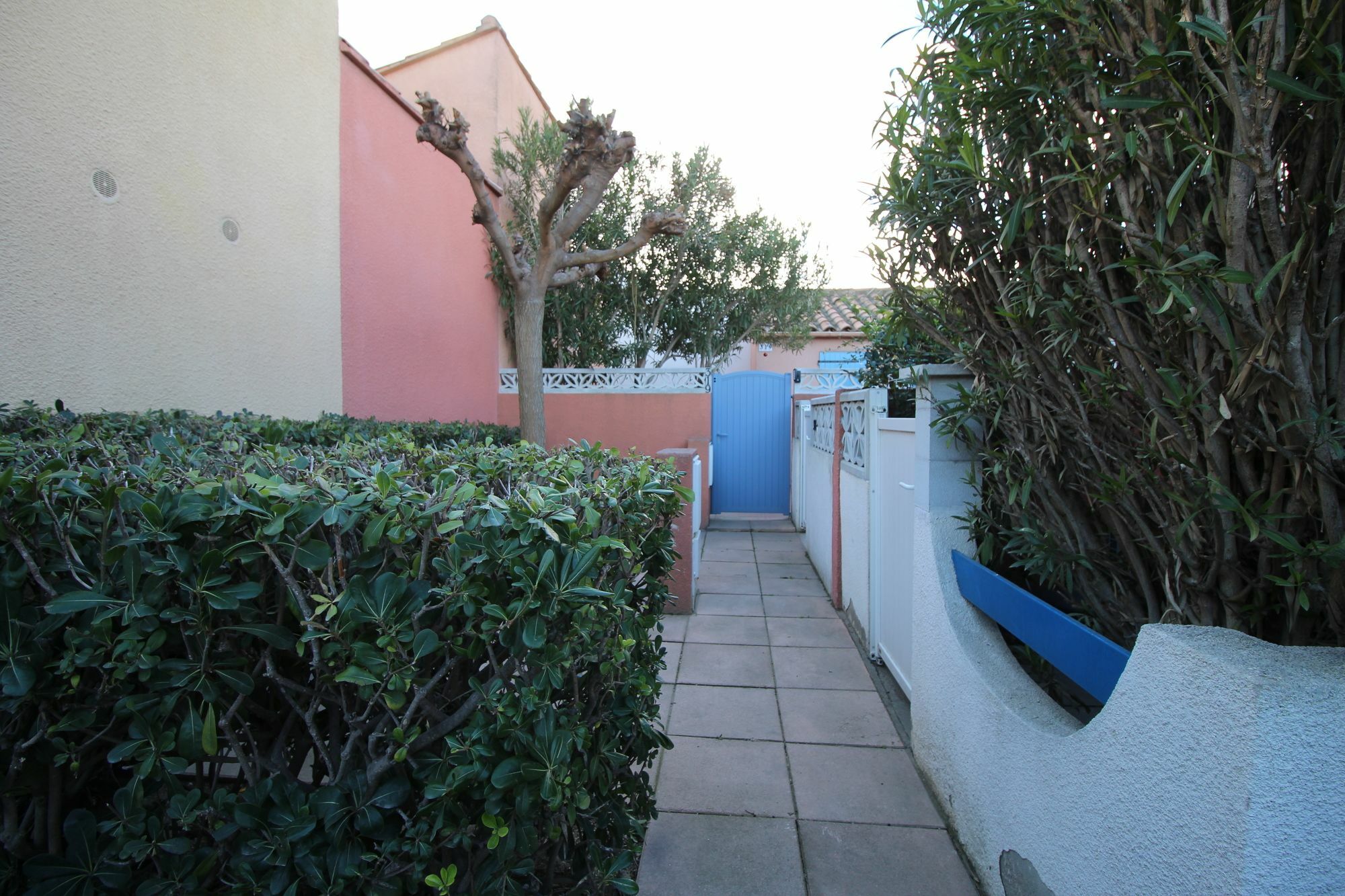 Appartement Charmant A Canet En Roussillon 36 M² Piscine Partagee Kültér fotó